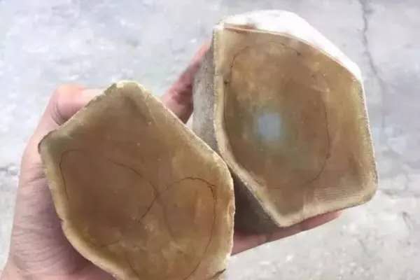 如何通过打灯的“光圈扩散度”与“回光刚性”准确研判内部水头